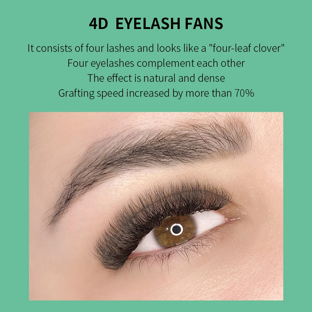 GLAMLASH 4D W Shape Eyelash Ex - Eyelash Extension Volume Styles のレビューと価格