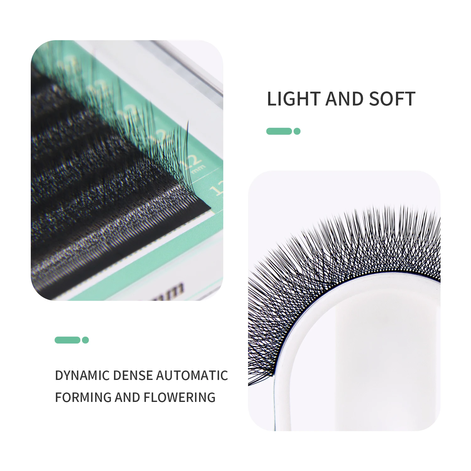 GLAMLASH 4D W Shape Eyelash Ex - Eyelash Extension Volume Styles のレビューと価格