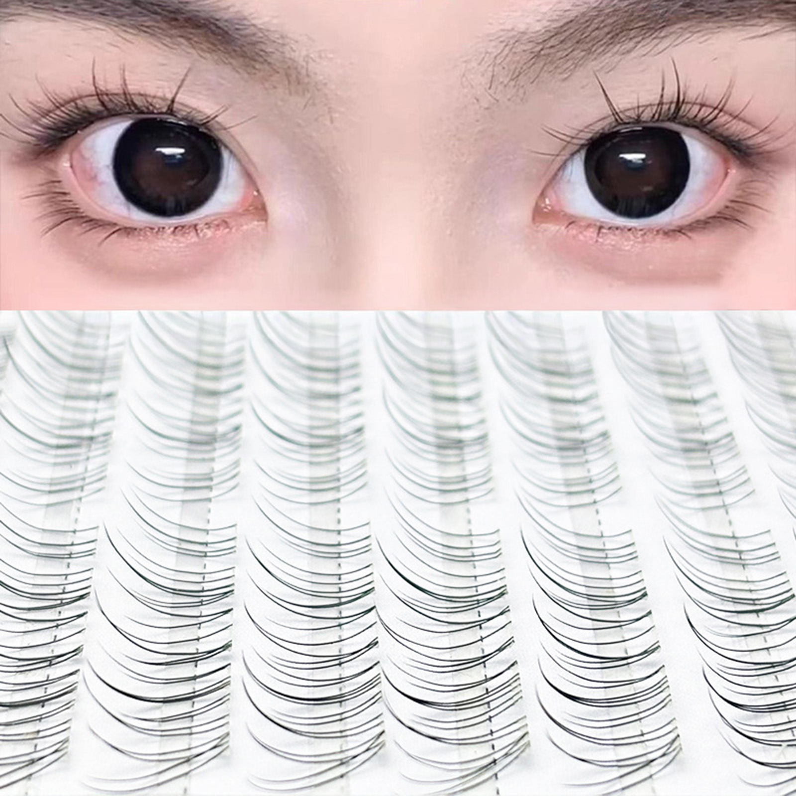 Korean Style False Eyelashes B - Eyelash Extension Volume Styles のレビューと価格